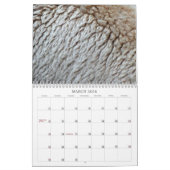 12 maanden Abstracte fotografie, 6e editie Kalender (Mar 2026)