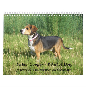 12 maanden Beagle Agenda - Wat een hond! Kalender