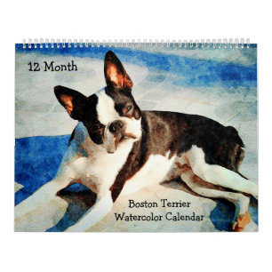 12 maanden Cute Boston Terrier Dogs Waterverf Gift Kalender