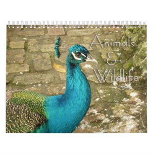12 maanden dieren- en natuurfotografie kalender