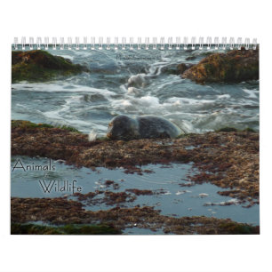 12 maanden dieren en wilde dieren editie 3 kalender