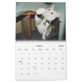 12 maanden Dorkus Kalender (Mar 2026)