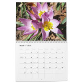 12 maanden foto's van de seizoenen, 13de editie kalender (Mar 2026)