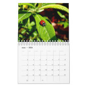 12 maanden Franse kalender (Mar 2026)