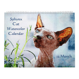 12 maanden haarloze keelholte katten Waterverf sch Kalender