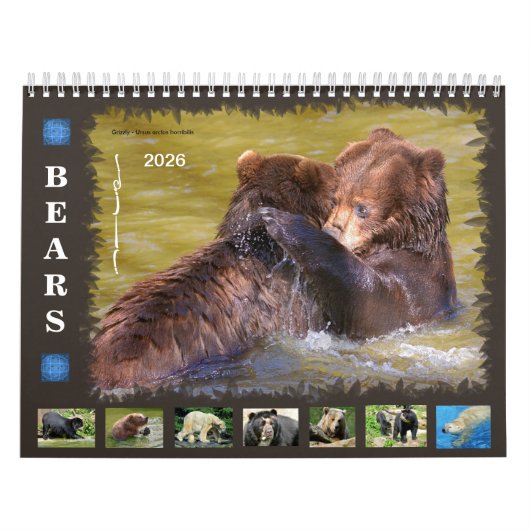 12 maanden kalender diverse beren (Hoes)