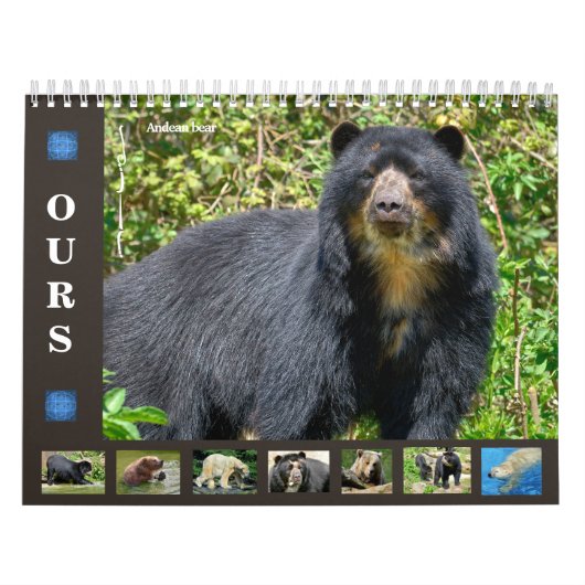 12 maanden kalender diverse beren (Hoes)