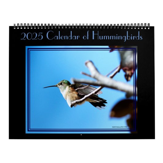 12 maanden kolibrieskalender. kalender (Hoes)