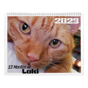 12 maanden Loki a Oranje Tabby Cat Kalender