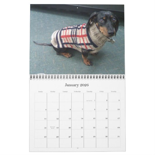 12 maanden met de tandhond kalender (Jan 2026)