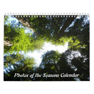 12 maanden met foto's van de seizoenen, 7e editie kalender