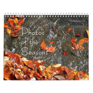 12 maanden met foto's van de seizoenen, 8e editie kalender