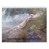 12 maanden monitoren kalender (Hoes)