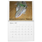 12 maanden monitoren kalender (Feb 2027)