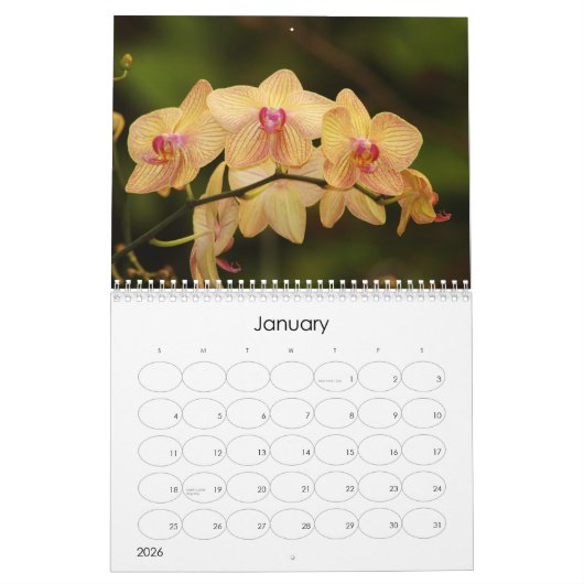 12 maanden mooie orchideeën kalender (Jan 2026)