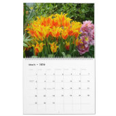 12 maanden mooie Tulpen Kalender (Mar 2026)