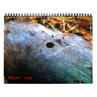 12 maanden Natuur Kalender