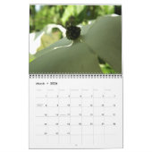 12 maanden Natuur Kalender (Mar 2026)