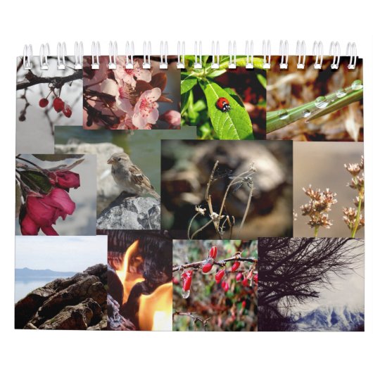 12 maanden Nieuw-Zeelandse kalender (Achterkant)
