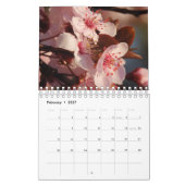 12 maanden Nieuw-Zeelandse kalender (Feb 2027)