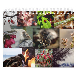12 maanden Nieuw-Zeelandse kalender