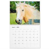 12 maanden Palomino Ponies Waterverf Gifts Kalender (Mar 2026)