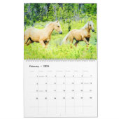 12 maanden Palomino Ponies Waterverf Gifts Kalender (Feb 2026)