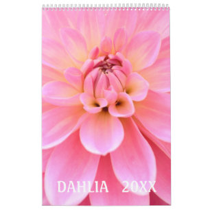 12 maanden prachtige Dahlia-fotokalender Kalender