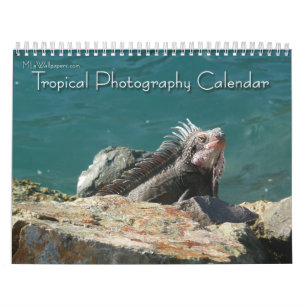 12 maanden tropische fotografie, 2e editie kalender