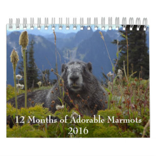 12 maanden van de Schattige Kalender van Marmotten