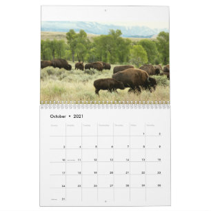12 Maanden van Dieren en Wildlife Edition 3 Kalender
