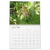 12 Maanden van Mooie Vlinders Kalender (Jan 2026)