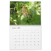 12 Maanden van Mooie Vlinders Kalender (Jan 2027)