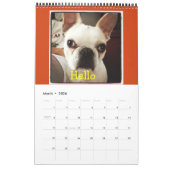 12 maanden van Mr K, Schattig Frenchie Calendar!! Kalender (Mar 2026)
