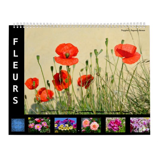 12-maandenkalender van verschillende bloemen kalender (Hoes)
