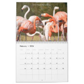 12-maandkalender van de verschillende vogels kalender (Feb 2026)