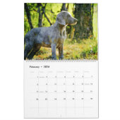 12-maands Ghoxyhars Weimaraner Waterverf Gifts Kalender (Feb 2026)