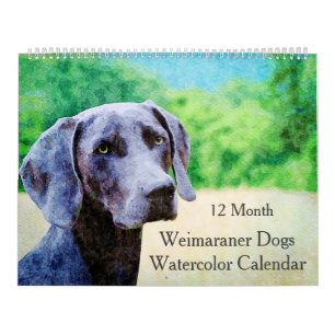 12-maands Ghoxyhars Weimaraner Waterverf Gifts Kalender