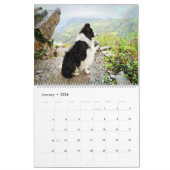 12-maands grens Collie Sheep Dogs Waterverf Art Kalender (Jan 2026)