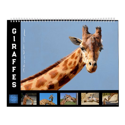 12-maands kalendergiraffen kalender (Hoes)