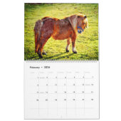 12-maands Shetland Ponies Waterverf Schilderkunst Kalender (Feb 2026)