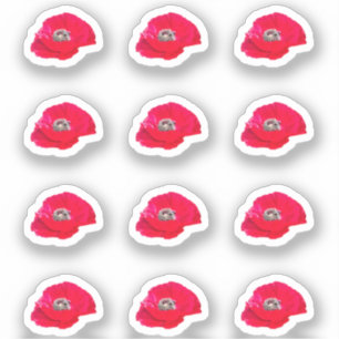 12 Mini Stickers Poppy