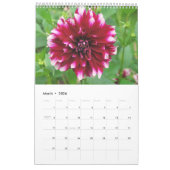 12 mois beau calendrier photo Dahlia (Mar 2026)