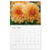 12 mois beau calendrier photo Dahlia (Jan 2026)