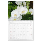 12 mois Calendrier des orchidées (Mar 2026)