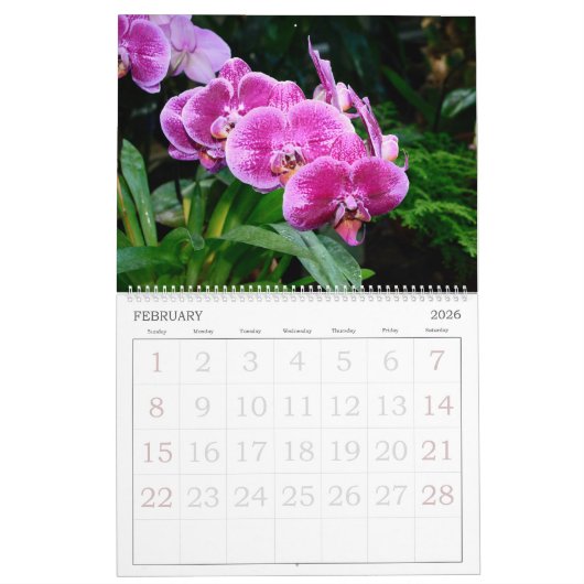 12 mois Calendrier des orchidées (Feb 2026)