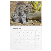 12 mois calendrier Felines (Feb 2026)