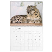 12 mois calendrier Felines (Jan 2026)