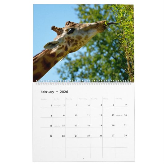 12 mois calendrier girafe (Feb 2026)