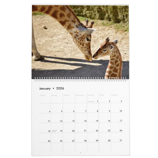 12 mois calendrier girafe (Jan 2026)